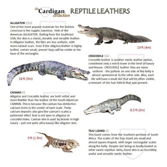 $1,370 Neiman Marcus GRAVATI Women's 9 M Genuine Crocodile * add $15 new Trees - Picture 5 of 16